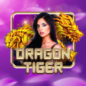 Dragon Tiger Orion Game live casino